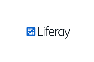 LIFERAY - 22